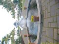Ile Maurice Telfair 006
